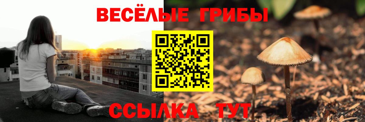 Буйнакск  Псилоцибиновые грибы мухоморы  где продают   Вход с VPN  Псилоцибиновые грибы Psilocybine cubensis 